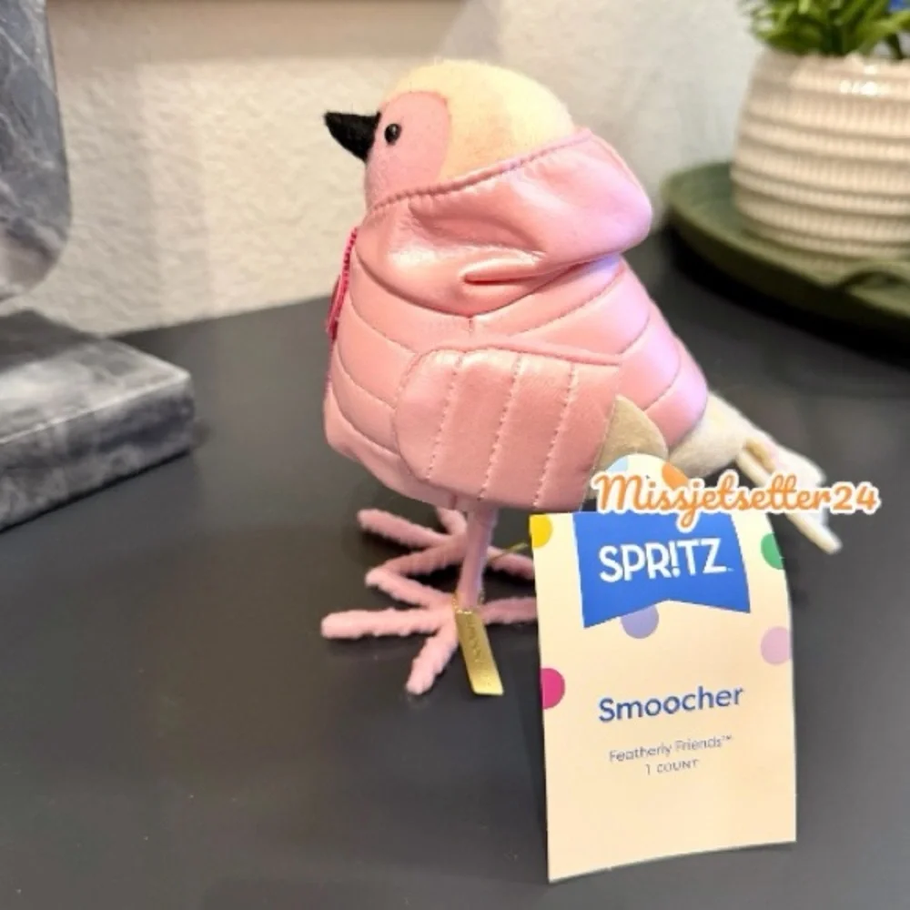Target Spritz Smoocher Valentine’s Day 2026 Featherly Friends Bird Pink New